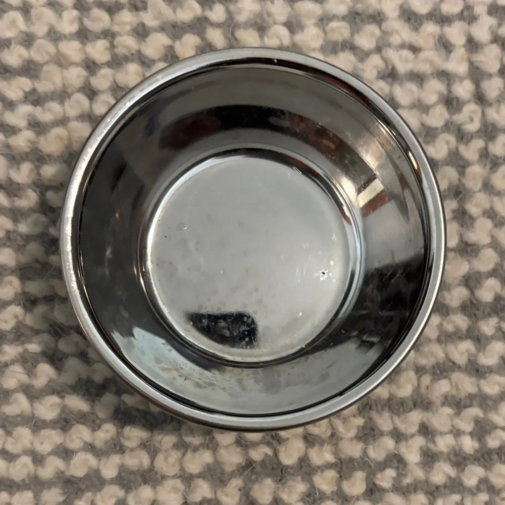 Blue and Silver Pet Bowl with Fish Design
